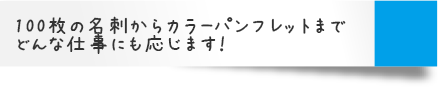 100枚の名刺からカラーパンフレットまでどんな仕事にも応じます！